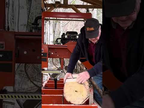 #shortvideo Turning a Short Poplar 90 Degrees to Saw 2nd Slab