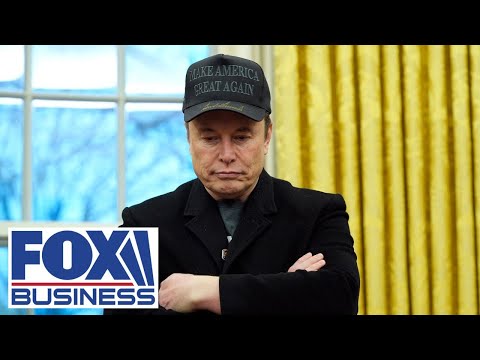 Stuart Varney: Elon Musk is paying the price for taking the DOGE lead