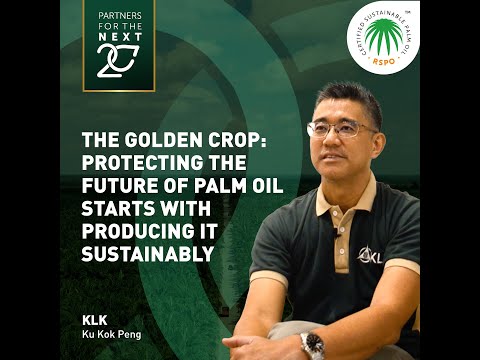 RSPO Insights | Protecting the Future of Palm Oil Starts With Producing It Sustainably