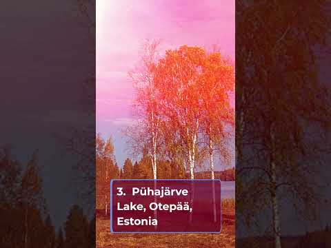 Visit Estonia - 3 Great Places to Visit - #shorts  #tannoahtraveltips