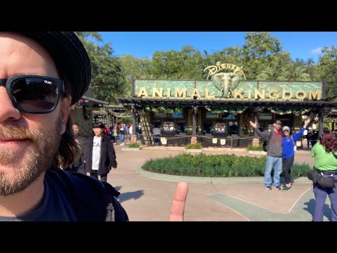 First Solo Trip to Disney’s Animal Kingdom as a Local!