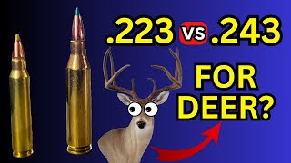 .223 vs .243 for Deer Hunting???