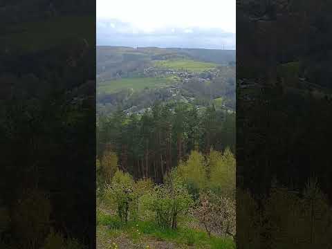 Nature is turning green again                                  #eifel #landscapeview #breathe