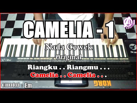 CAMELIA Karaoke Nada Cewek | Korg Pa3x (Chord&Lirik)