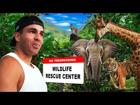 We Visited India’s Richest Man’s BILLION DOLLAR Wildlife Rescue!