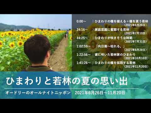 ひまわりと若林の夏の思い出【オードリーのオールナイトニッポン 若林トーク】2021年6月26日〜11月20日