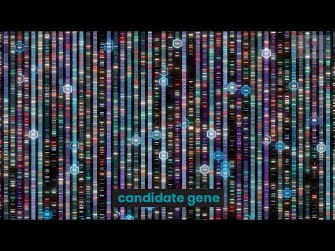 Candidate gene