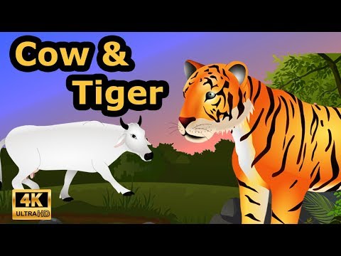 The Honest Cow and the Tiger Story in English | Bedtime Stories for Kids | English Fairy Tales