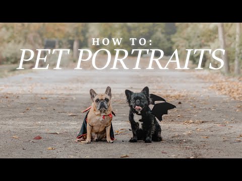 Take Better Pet Portraits!