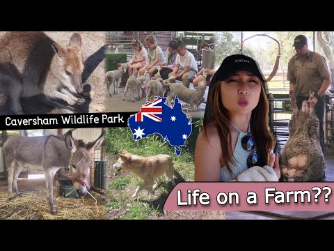 PERTH: Caversham Wildlife Park; INTERACTIVE Farm Show (Pt. 2) | Perth/WA | Vlog 68