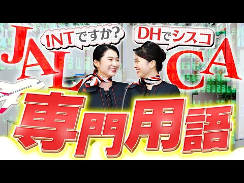 お客さまが知らないJAL CAの専門用語を解説！