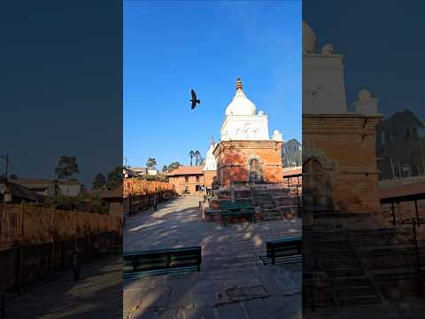 World's heritage place! ✨🌍🇳🇵 Pashupatinath is a must-see! #Travel #Heritage #Culture #nepal