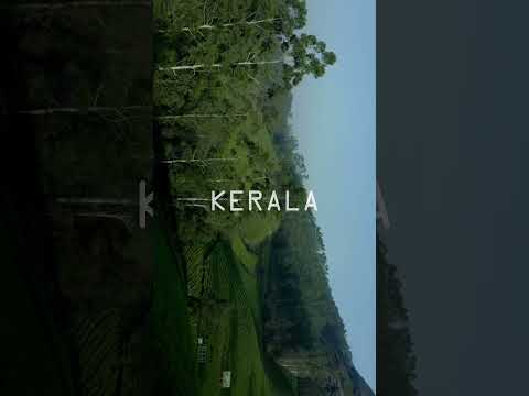 Kerala | God's Own Country | Rare Routes Holidays