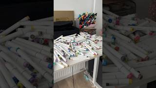 Can I Organize 320 Markers?😰*help*| Ange_Cope