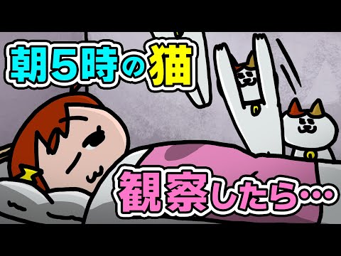 ふざけてるけどただ優しい朝5時の猫ww | ナミミコ