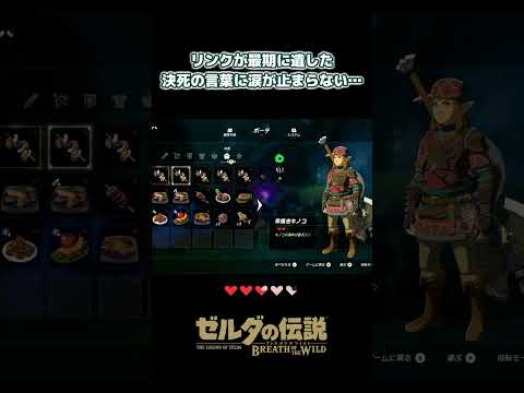 リンクが最期に遺した言葉… - ゼルダの伝説 BotW #ゲーム #ゲーム実況 #ゲーム実況者 #shorts