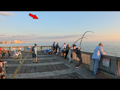 Everyone Came to the Gulf Pier for This! *Catch, Clean, & Cook*