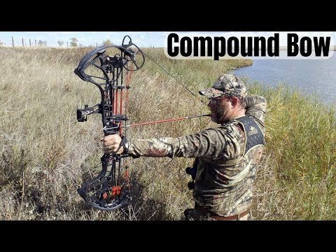 Best Compound Bow of 2025 – How to Choose the Perfect Compound Bows!