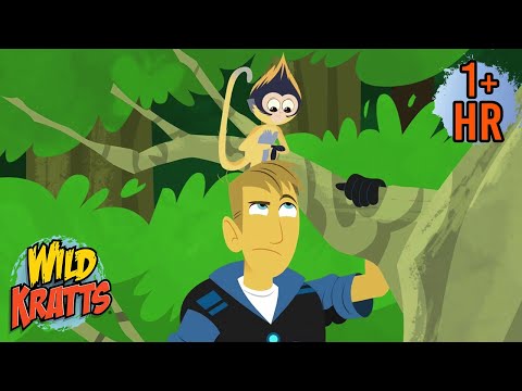 Jungle Fun | Bugs, Monkeys & Mini Adventures | Wild Kratts | 9 Story Kids