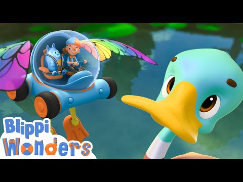 Ördekler 🦆 Blippi Türkçe - Çocuklar için Eğitici Videolar