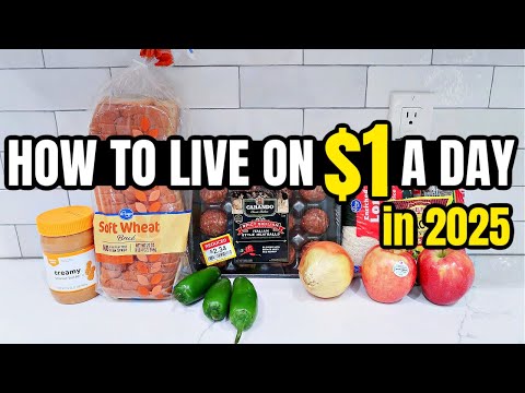 *ALL NEW* Eating For $1 A Day in 2025 (Full Week) | EXTREME GROCERY BUDGET PLAN | CHEAP MEAL IDEAS