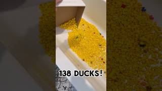 +138 ducks = 690 subs #funny #3dprinting #rap #duck #viralvideo