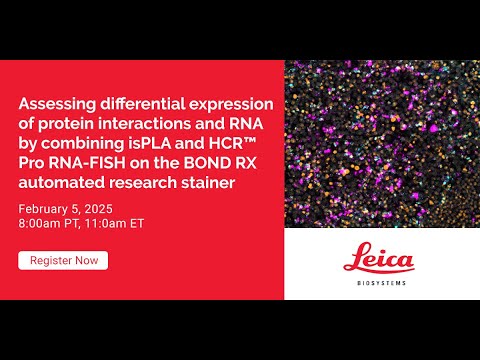 Assessing differential expression of protein interactions and RNA by combining isPLA and...