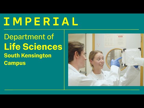 Postgraduate Study at Imperial | Life Sciences