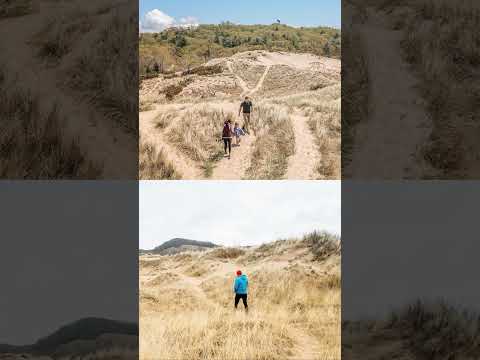 sandy trails and lake views outside Detroit