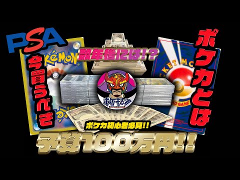 【ポケカ】今購入すべきカードとは!? ポケギャンPSAカード大量購入!?