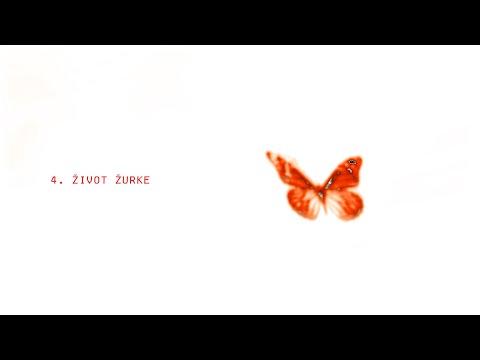 Baskjat - Zivot Zurke (Interlude)