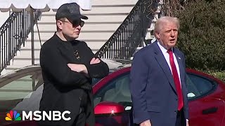 ‘Car commercial for Tesla’: Trump turns White House into Tesla showroom, critics say