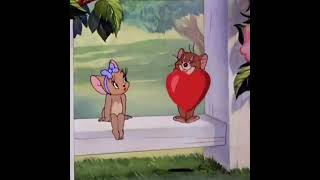 #tom #tomandjerrycouple