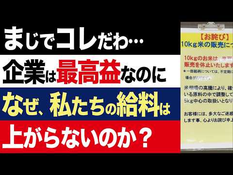 【2chニュース】真相…長引く物価高、給料が上がらない原因「強欲インフレ」の闇【時事ゆっくり】