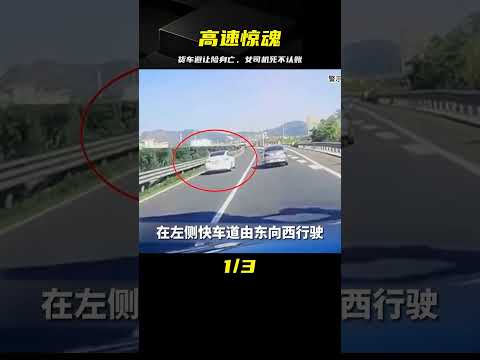 高速上變道之禍，貨車好心避讓險些喪命，事后司機死不認賬 #中国密探 #案件 #探案 #懸案 #懸疑