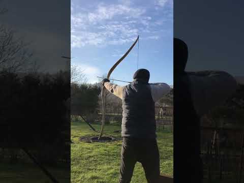 REAL RECURVE BOW SOUND 🏹🔈 #archery #recurvebow #satisfying