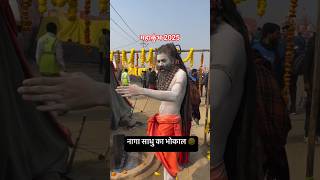 नागा साधु को आया गुस्सा naga sadhu ko gussa mahakumbh kumbh mela prayagraj#mahakumbh2025#shorts