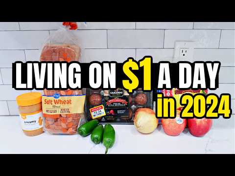 Eating for $1 a Day | Full Week of Cheap and Healthy Meal Ideas You Need to Try in 2024