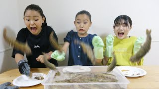 【大食い】「きゃー」とか高い声出すの禁止で、エビ１キロを生きたたま食べてみた！【モッパン】