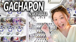 Exploring Tokyo’s Best Gachapon Machines!