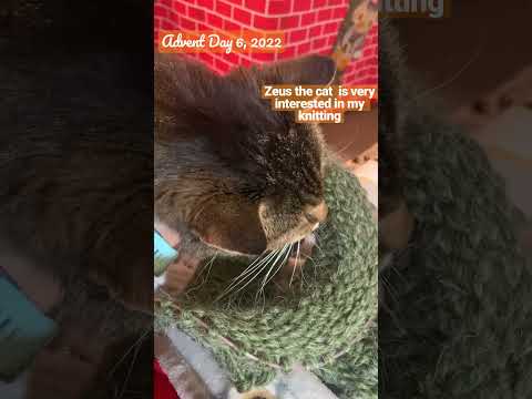 Vlogmas Day 6: Relaxing and #knitting with my sweet #cat He’s My good little old man. #christmas