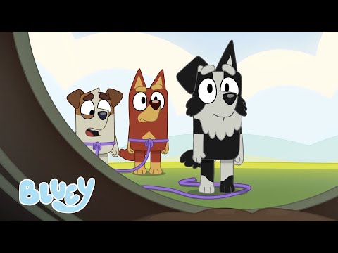 Agujero negro | Espacio | Bluey Español Canal Oficial