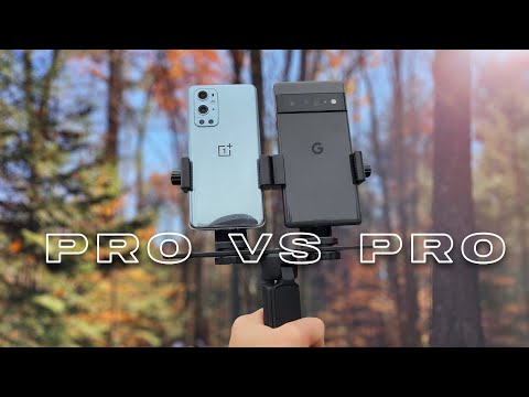 Pixel 6 Pro vs Oneplus 9 Pro | Camera comparison!