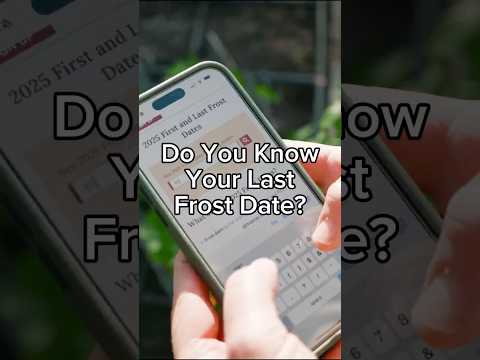 Do You Know Your Last Frost Date?