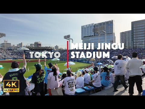 【4K】Jingu Stadium 2024 season begins. Watch baseball at the outdoor stadium Tokyo Gaienmae 2024.3