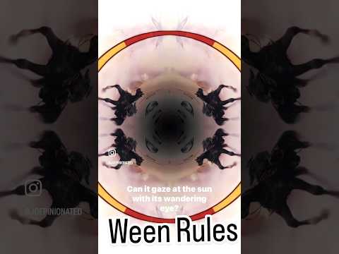 Ween : The Mollusk #ween