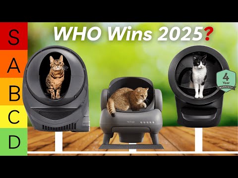 Best Automatic Litter Boxes 2025 - The Only 6 To Consider Today