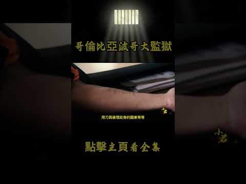 第69集丨哥倫比亞波哥大監獄，犯人艱難的活著，獄警上班只為打卡摸魚