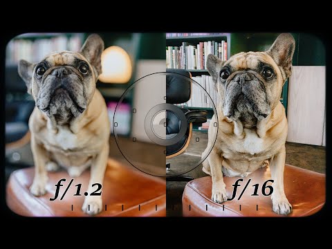 How to Choose the Right Aperture for Your Photos