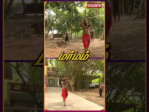 மரணத்தை தள்ளிப் போடும்  கரலாக்கட்டை | #Marmam #VasanthTV #jothisilambam #Shorts #puducherry